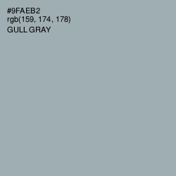 #9FAEB2 - Gull Gray Color Image